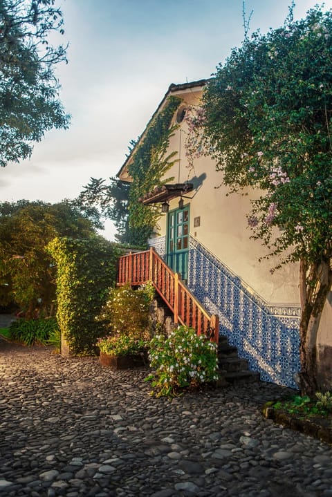 Property building, Day, Natural landscape, Garden, Garden view