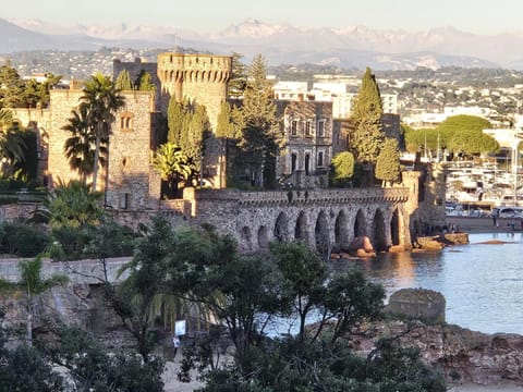 Mandelieu la Napoule Apartment in Mandelieu-La Napoule