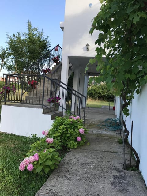Property building, Facade/entrance, Garden