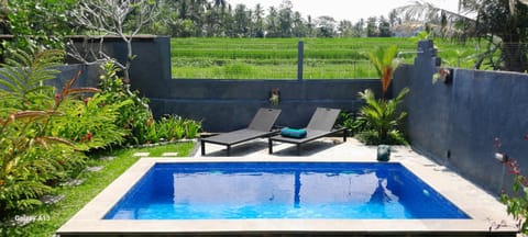 Day, Natural landscape, Garden, Garden view, Swimming pool