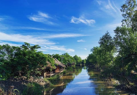 Natural landscape, Lake view, River view