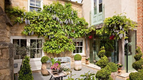 Patio, Garden, Garden view, Inner courtyard view