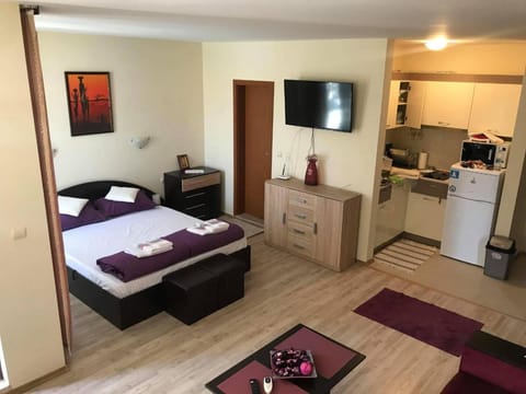 Communal lounge/ TV room, Kitchen or kitchenette, Living room, Bedroom