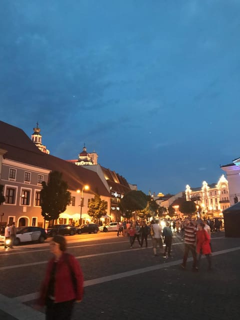 Good choice Apartment in Vilnius