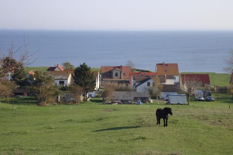 Property building, Off site, Animals, Lake view