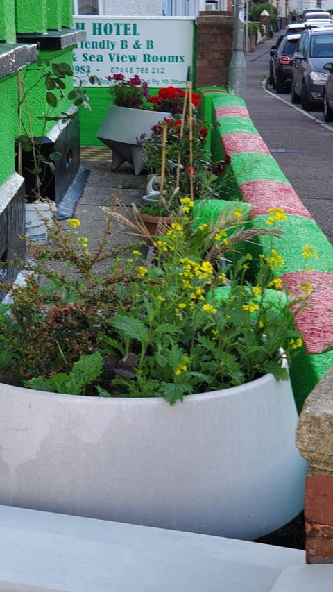 Ash Hotel B&B Bed and Breakfast in Exmouth