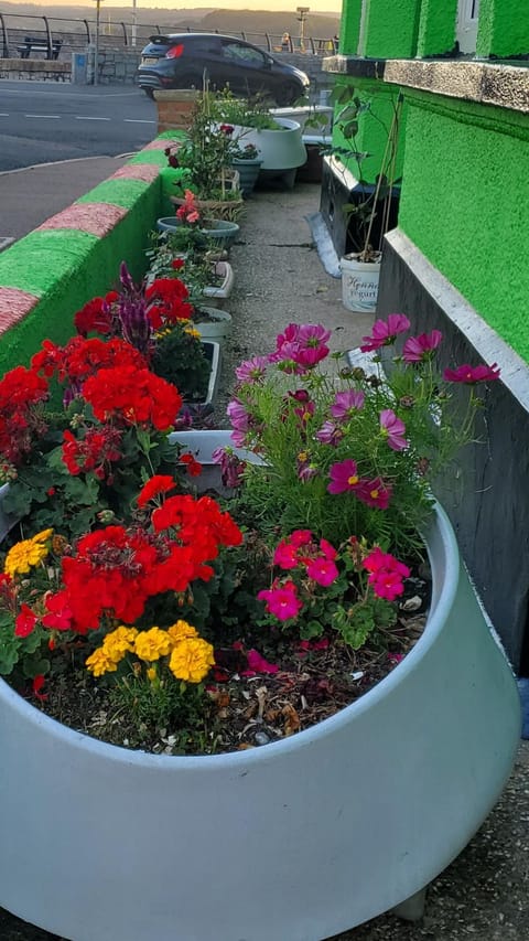 Ash Hotel B&B Bed and Breakfast in Exmouth