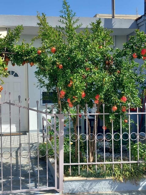 Anastasia’s Home Country House in Nea Peramos