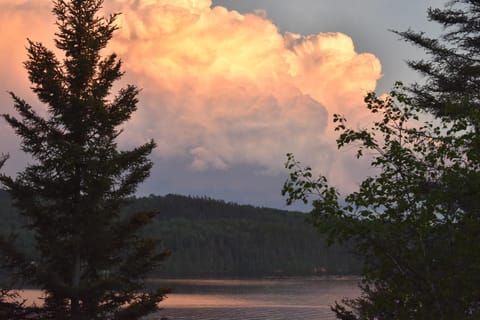 Lake view
