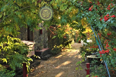 Patio, Facade/entrance, Floor plan, Garden view