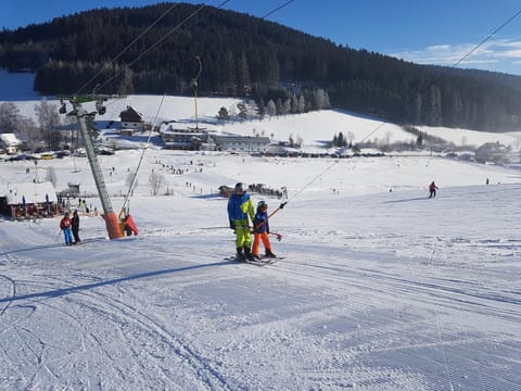 Property building, Day, Winter, Skiing