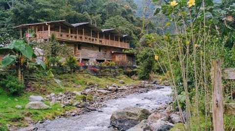 Natural landscape