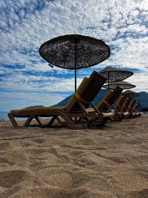 Day, Natural landscape, Beach, Beach, Sea view, sunbed