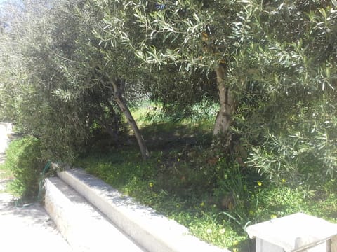 Villa Solinas Apartment in Sardinia