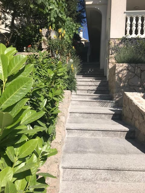 Day, Summer, On site