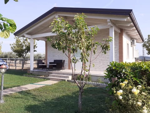Property building, Balcony/Terrace
