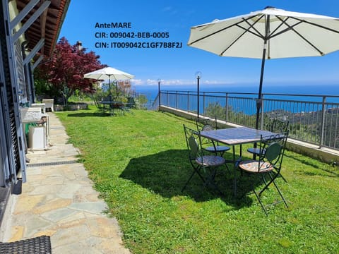 Patio, Garden, Photo of the whole room, Garden view