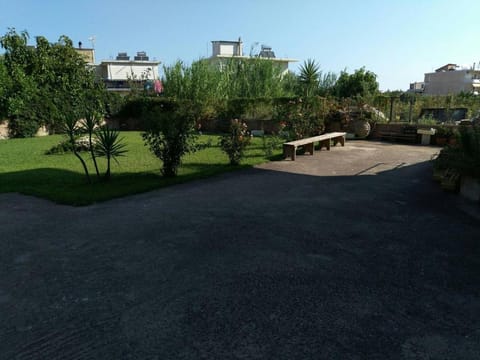 Garden, Garden, Garden view, Inner courtyard view