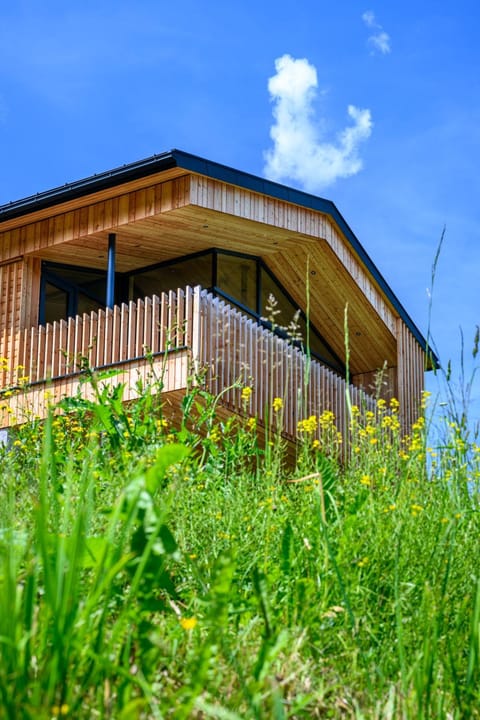 Das Hillside Maria Alm Hintermoos Apartment in Salzburgerland