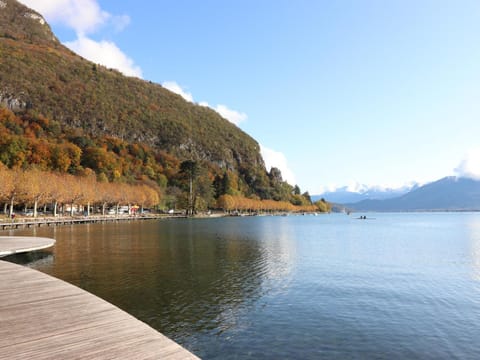 T3 spacieux à Annecy avec balcon vue montagnes, animaux admis - FR-1-432-49 Apartment in Annecy