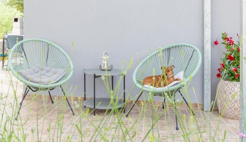 Balcony/Terrace, Animals, Pets