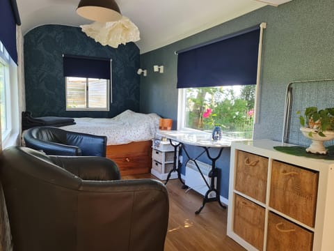 Bed, Living room, Photo of the whole room, Bedroom