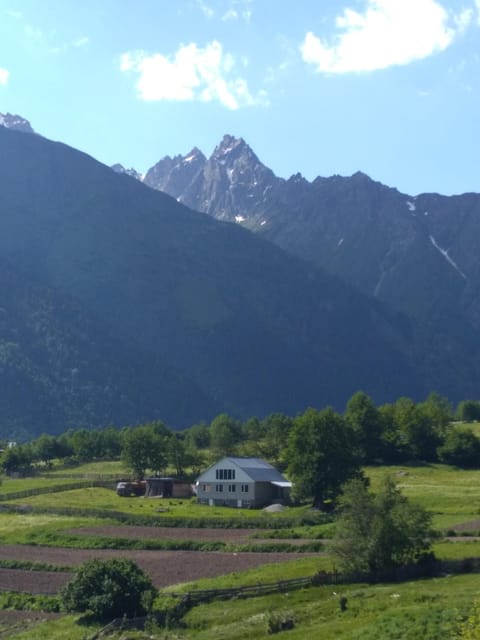 Natural landscape