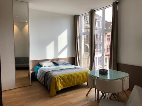 Le plein centre Apartment in Troyes