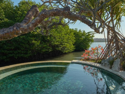Hot Spring Bath, Swimming pool