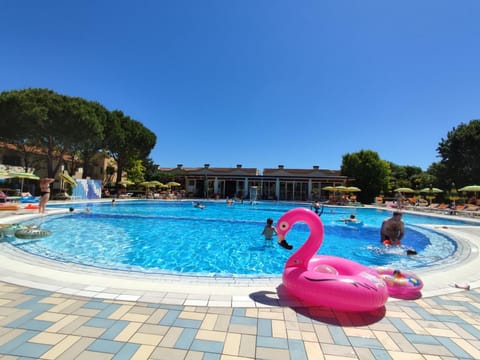 Pool view, Swimming pool, children, sunbed
