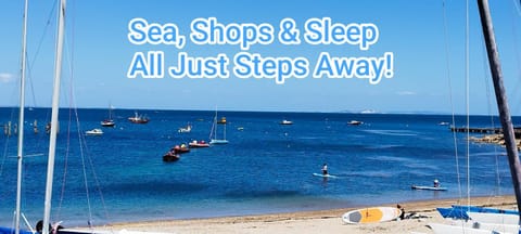 Blue Palms Bed and Breakfast in Bournemouth