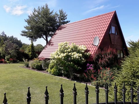 Spring, Day, Natural landscape