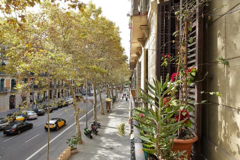 Property building, Spring, Day, Street view