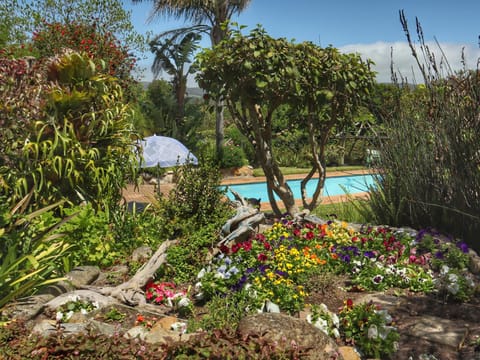 Property building, Garden view, Pool view