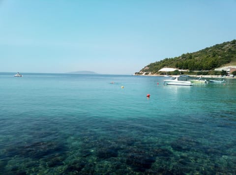 Villa Iva Apartment in Dubrovnik-Neretva County