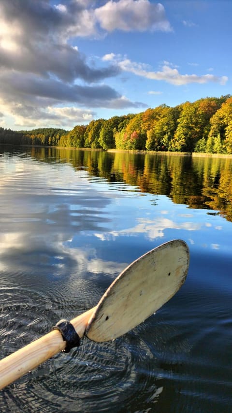 Apartament pod Dębem Apartment in West Pomeranian Voivodeship, Poland