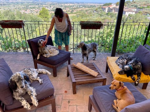 SetterHouseAgriHotel Farm Stay in Trevi