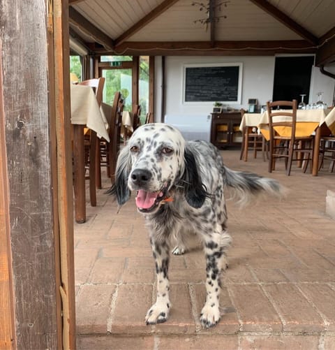 SetterHouseAgriHotel Farm Stay in Trevi