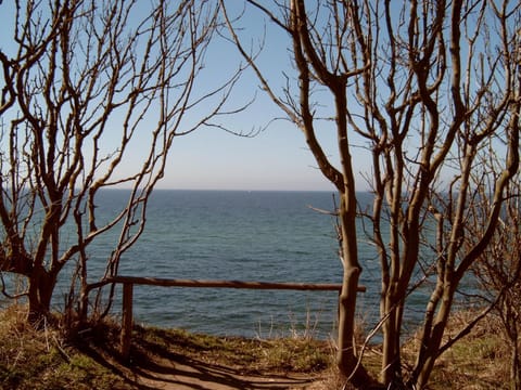 Ferienhäuschen House in Mecklenburg-Vorpommern, Germany