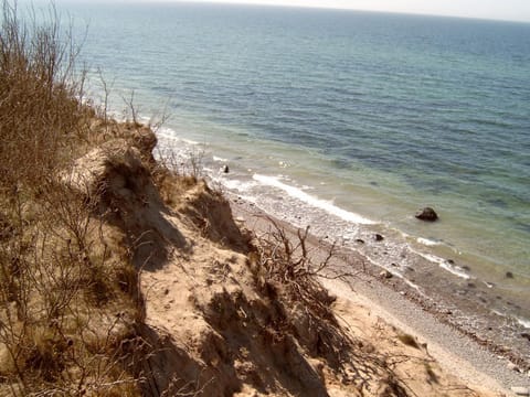 Ferienhäuschen House in Mecklenburg-Vorpommern, Germany