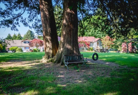 Spring, Day, Natural landscape, Garden, On site