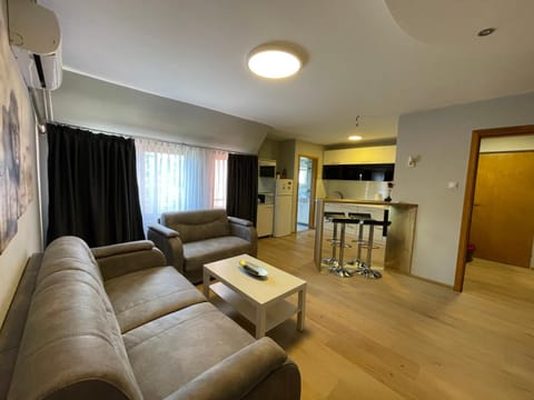 Leo Apartment in Serbia