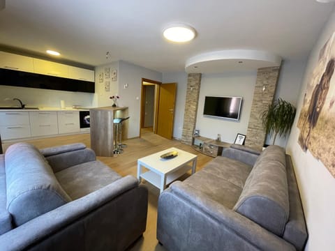 Leo Apartment in Serbia