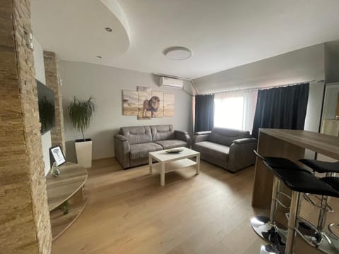 Leo Apartment in Serbia