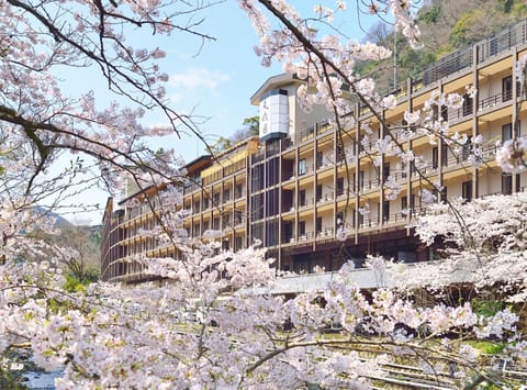 Property building, Spring