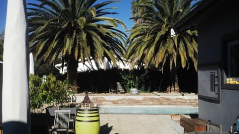 Day, Summer, Darts, On site, Swimming pool, Swimming pool