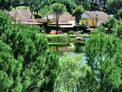 Restaurant/places to eat, Natural landscape, Lake view, Location