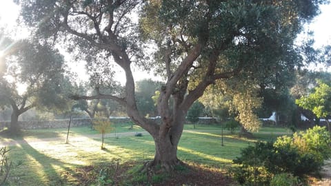 Natural landscape, Garden view