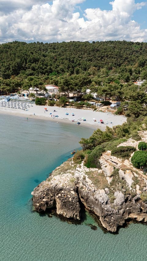 Natural landscape, Bird's eye view, Beach, Sea view