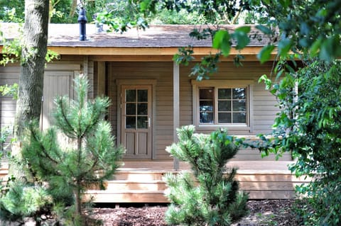 Property building, Garden, Garden view